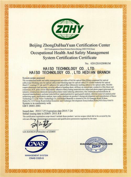 職業(yè)健康英文